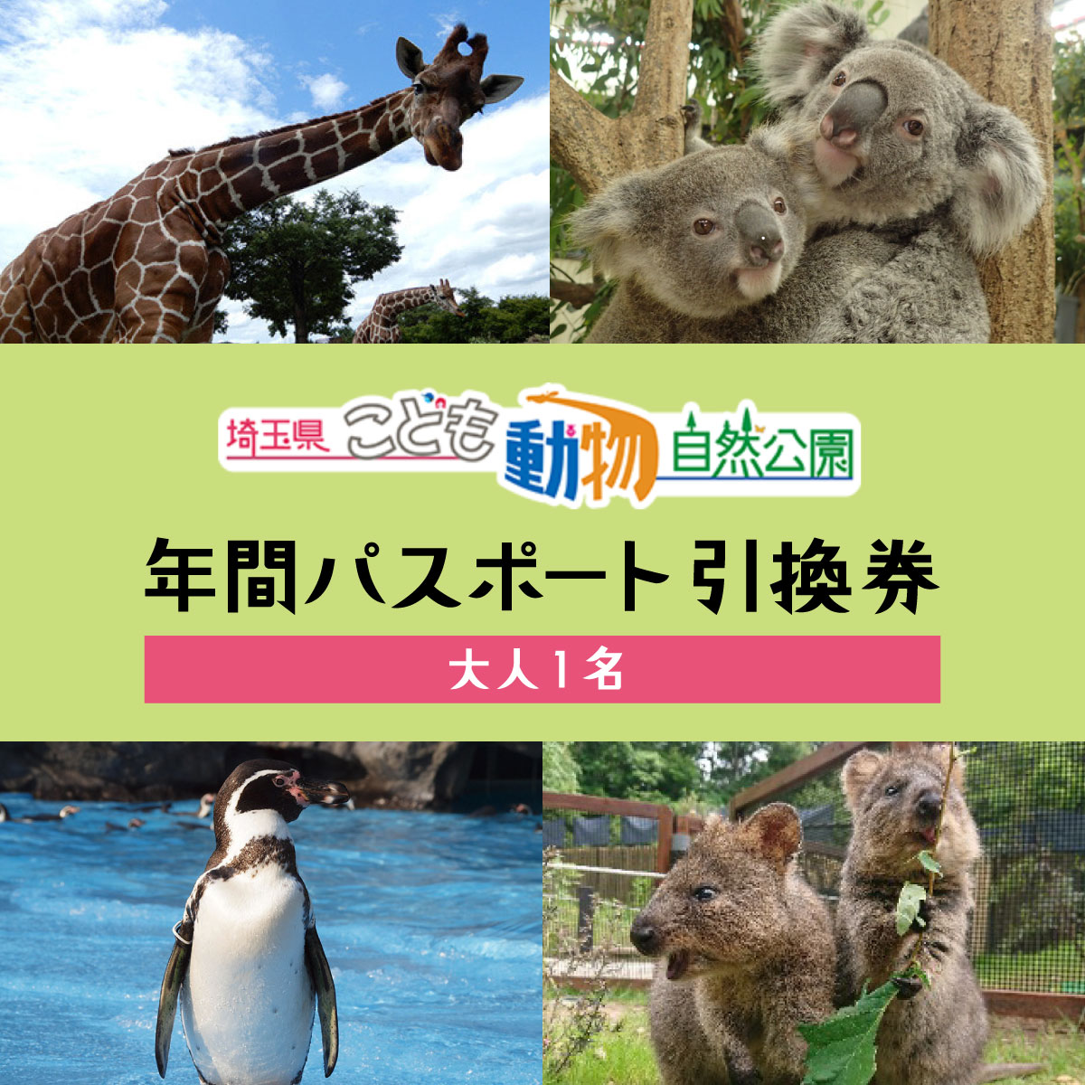 埼玉県こども動物自然公園 年間パスポート 大人1名