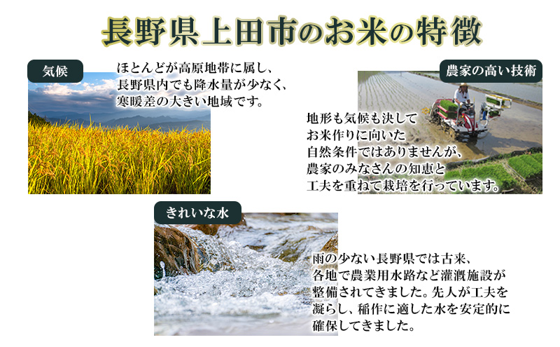 米 コシヒカリ 5kg お米 白米 精米 単一原料米 令和7年産 長野県産 長野 長野県 上田市