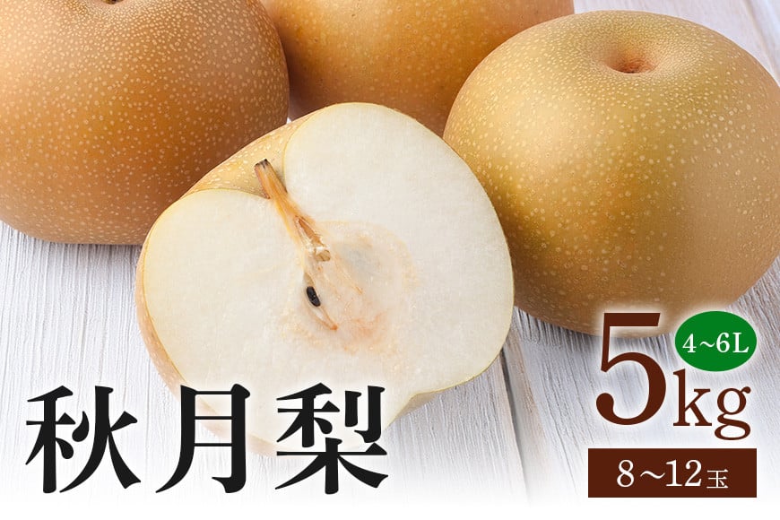 
            秋月梨　箱込約 5kg（JA新ひたち野）梨 約 8玉 ～ 12玉 品種 秋月 あきづき なし ナシ 果物 フルーツ 大玉 6L 5L 4L サイズ 5キロ 9月 発送 秋 旬 産地直送 農家直送 産直 国産 くだもの 甘い 糖度 茨城県産 茨城県 石岡市 (B01-002)
          