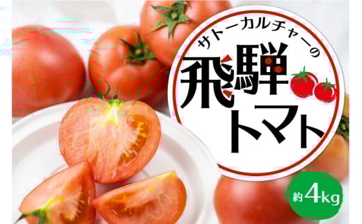《令和8年産先行予約》飛騨トマト 約4kg（20－28玉）産地直送 野菜 とまと トマト 麗月 夏野菜 やさい サトーカルチャー  syun22