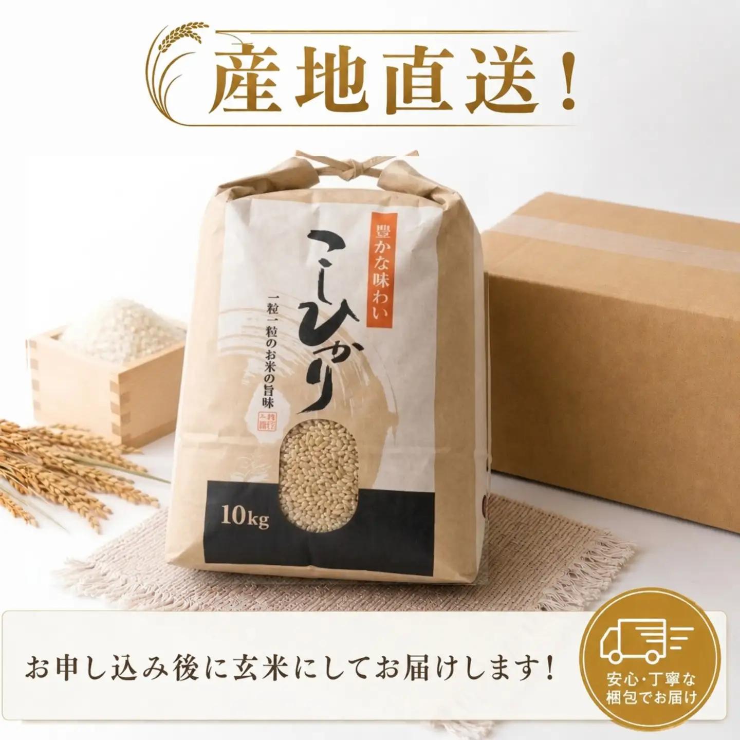 こしひかり 玄米 新米 10kg  2026年産［0940-4］