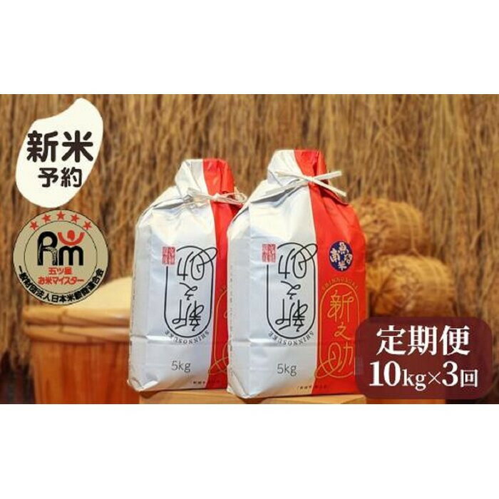 【ふるさと納税】【令和7年産新米予約】米 定期便 新之助 南魚沼産 30kg ( 5kg × 2袋 × 3ヶ月 ) 五つ星 お米マイスター【2025年10月下旬より順次発送予定】 | お米 こめ 白米 新之助 食品 人気 おすすめ 送料無料 魚沼 南魚沼