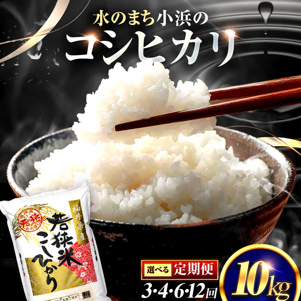 【ふるさと納税】【選べる定期便回数】 福井県産 コシヒカリ 精米 (白米) 10kg 一等級　福井県米 /甘みと粘りが際立つ 王道米 こしひかり 小浜市 / 若狭ふれあい市場[BFEL031]