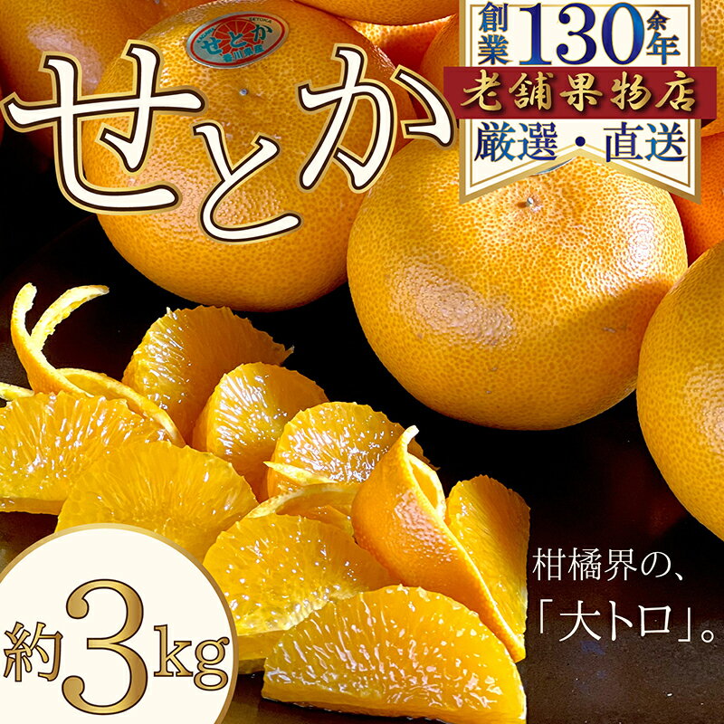 【ふるさと納税】柑橘界の大トロ♪せとか　約3kg 　お届け：2026年2月15日～2026年4月15日