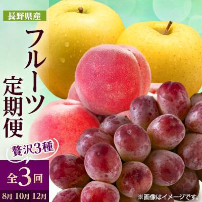 ふるさと納税 中野市 【発送月固定定期便】2026年発送 長野の果物 桃+クイーンルージュ+シナノゴールド全3回