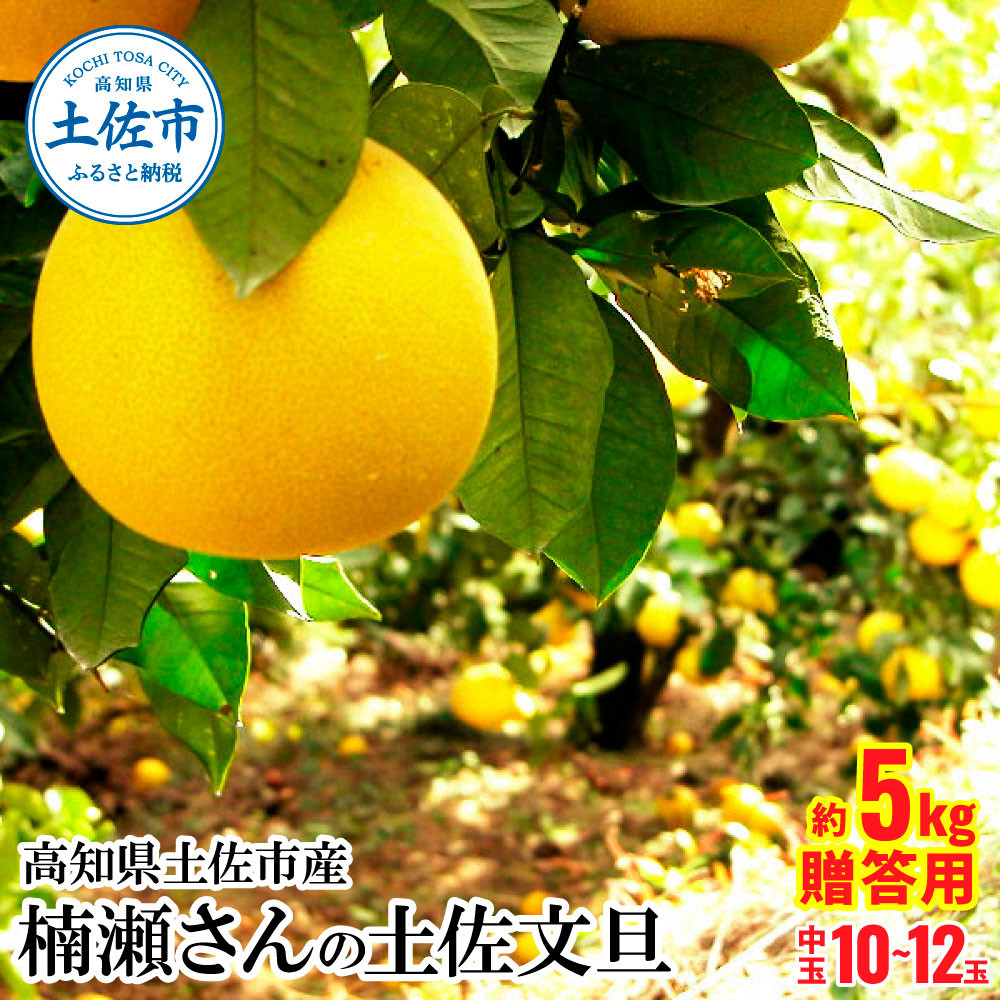 
                  【先行予約】楠瀬さんの土佐文旦 贈答用中玉 約5kg〈2027年2月15日～2027年4月5日発送〉 期間限定 高知 土佐 文旦 ぶんたん ブンタン 柑橘 みかん 果物 5キロ 2Lサイズ 10～12玉 フルーツ 旬【まる庄果樹園】[BQAF005]
                
