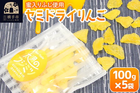 セミドライりんご「太陽のフジミツ」100g×5袋