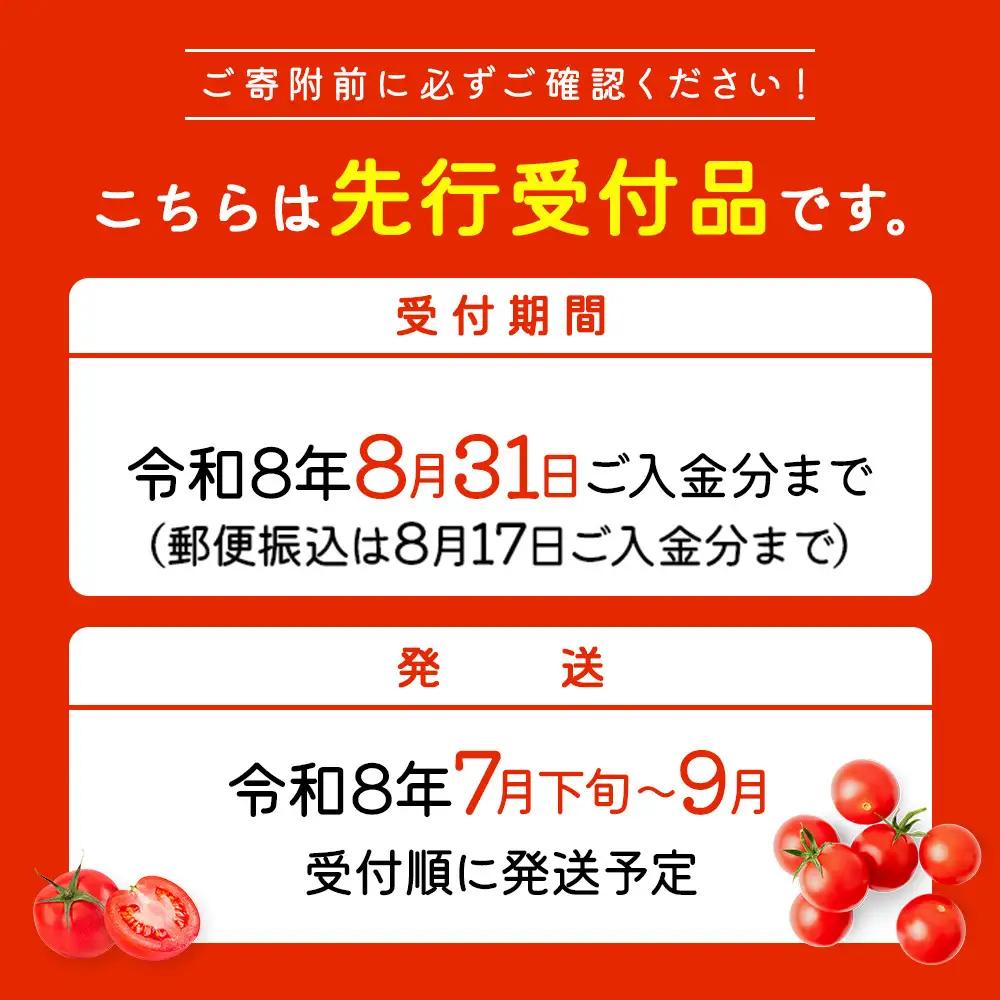 【先行受付】 ミニトマト 3kg【令和8年7月下旬～9月発送】【1200602】