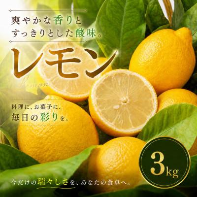 ふるさと納税 松山市 【選び抜いた一箱】香り際立つ【レモン】3kg　愛媛県産