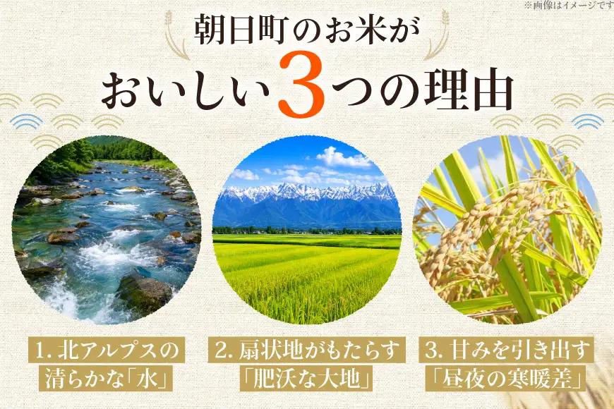 米 令和7年 コシヒカリ あいの風 精米 10kg 6回 定期便 総計60kg