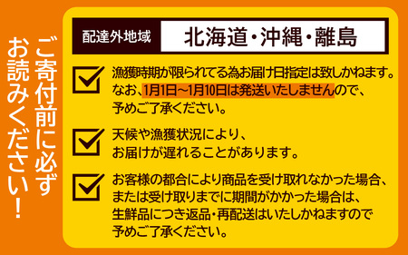 【訳あり】 【先行予約】越前がに 合計1kg以上（2～3杯）【11月～3月順次発送】 日本海 直送