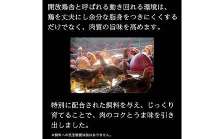 「おいしい総攻撃、手羽先の陣！」伊達鶏の手羽先塩焼き 20本 福島県伊達市 F20C-571