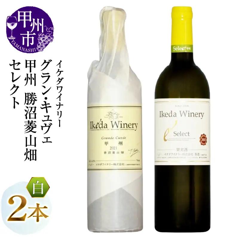 ワイン イケダワイナリー【グラン・キュヴェ 甲州／セレクト白】2本セット（MG）C-489