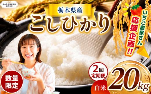 【定期2回】数量 限定  訳あり 定期便 令和8年度 栃木県産 コシヒカリ 約 20kg | 数量限定 こしひかり  精米 白米 米 ごはん おいしい okome kome お米 コシヒカリ ふるさと納税 那珂川町 栃木県【栃木県共通返礼品】