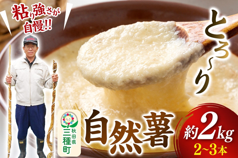 
                  自然薯 約2kg（2～3本） 秋田県三種町産
                