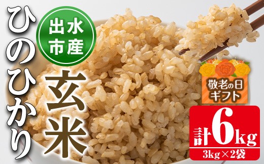 i504-k 【敬老の日ギフト】鹿児島県出水市産ひのひかり玄米＜3kg×2袋・計6kg＞ 米 玄米 ヒノヒカリ 自家脱穀 自家精米 発送直前 精米 ごはん お米マイスター 厳選 ギフト プレゼント 贈答 敬老の日 【田上商店】