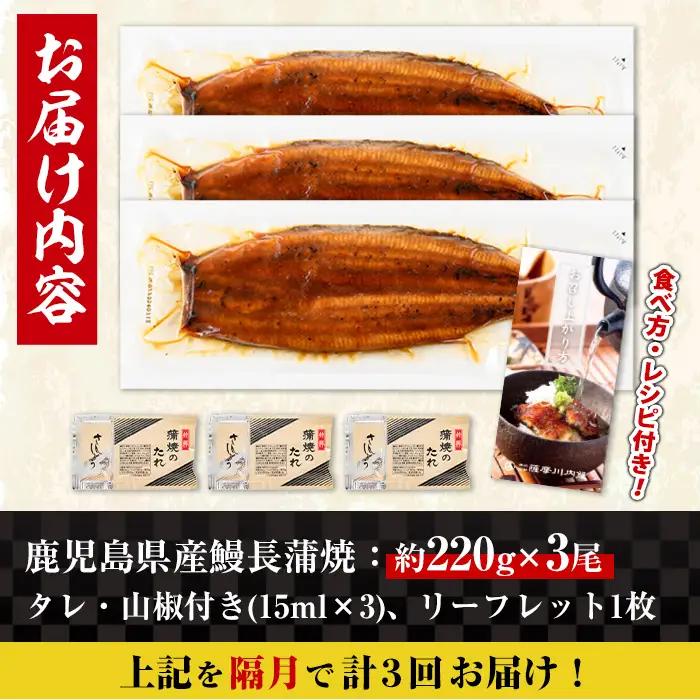 【3回定期便(隔月)】鹿児島県産 うなぎ蒲焼 特大 サイズ 3尾セット＜（約220g×3・計約660g）×全3回＞【薩摩川内鰻】 i1174-B