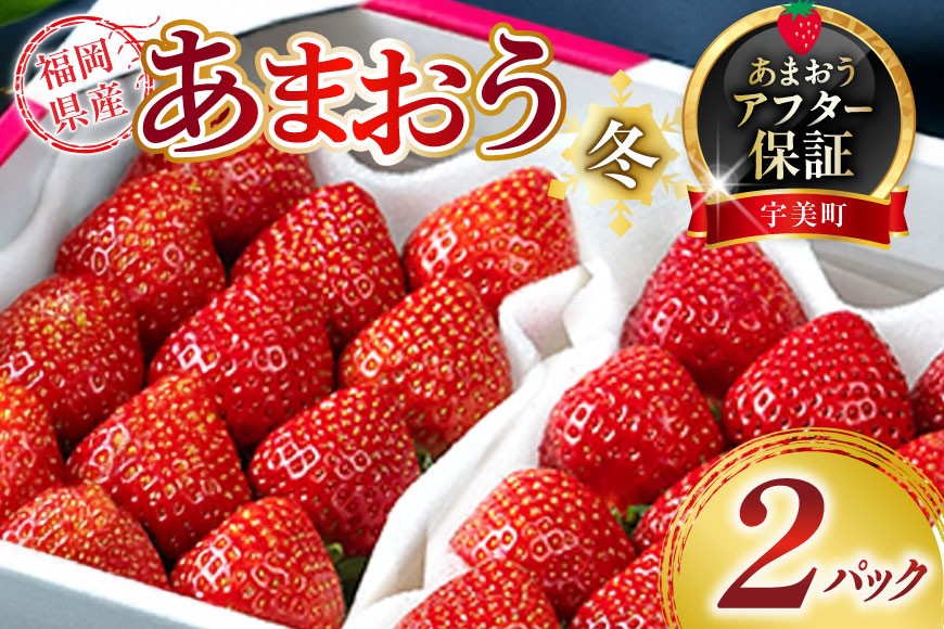
                  いちご あまおう 福岡産あまおう 冬 2パック 【期間限定発送】 [南国フルーツ 福岡県 宇美町 um40azo970039] 先行予約 イチゴ 苺 フルーツ 果物 果実 甘い あまい 小分け
                