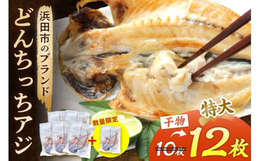 【生活応援品】浜田市のブランド「どんちっちアジ」干物特大（200gサイズ）10枚＋2枚増量 個包装 魚介類 干物 干もの 開き あじ 厳選 海鮮 セット 個包装 【019_1954】