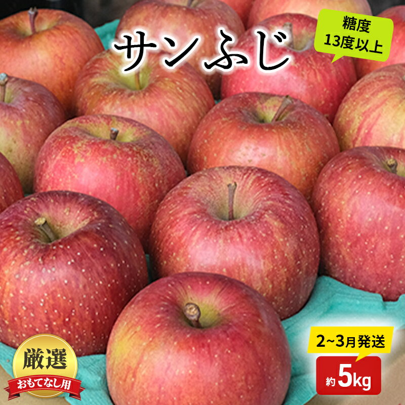 【ふるさと納税】りんご【2月～3月発送】糖度13度以上 おもてなし用 家庭用 サンふじ 約5kg【青森りんご】果物類 フルーツ 林檎 リンゴ 弘前市 青森県 おやつ デザート　お届け：2026年2月20日頃～2026年2月28日、2026年3月20日頃～3月31日