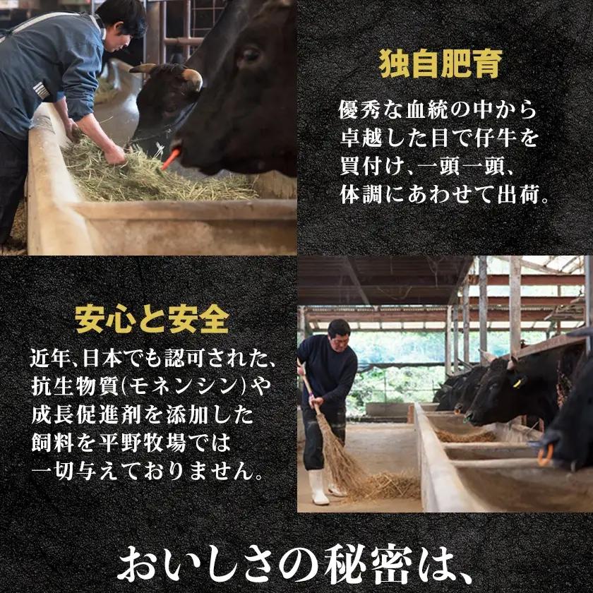 【のし付き】特選和牛〈焼肉薩摩 完熟平野幸一之牛〉ハンバーグ10個_肉 ハンバーグ 牛肉 _【配送不可地域：離島】【1042958】