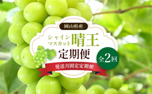 先行予約＜2025年発送> 発送月固定 定期便 岡山県産 シャインマスカット『晴王』定期便 全2回 TY0-0435