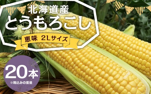 北海道産 とうもろこし 恵味 2Lサイズ 20本 1箱 国産 トウモロコシ 冷蔵 【2027年8月発送予定】
