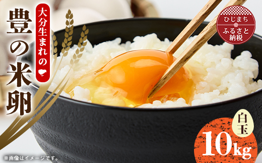 大分生まれのAW飼い「豊の米卵」10kg(白卵)【配送不可地域：離島】