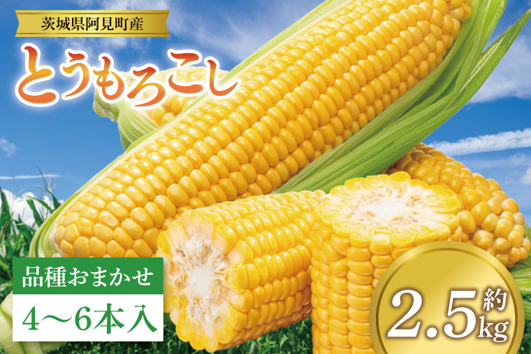 
                  【先行予約 6月中旬から順次配送】とうもろこし　4本～6本入り（約2.5kg）【野菜 甘い トウモロコシ 玉蜀黍 茨城県 阿見町産】(76-05)
                