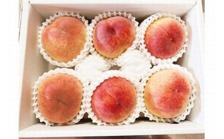 紀州和歌山産の桃　約1.8kg　化粧箱入　2024年6月下旬頃?2024年8月中旬頃順次発送（お届け日指定不可）【uot720-2】