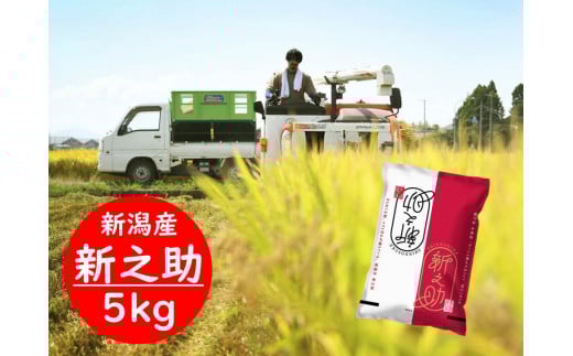 【令和7年産新米】新潟県阿賀野市産 新之助 5kg 3D03018