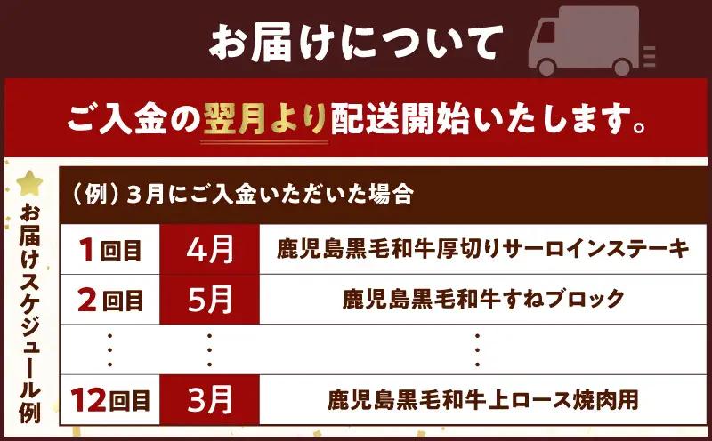 【全12回】鹿児島黒毛和牛定期便 K130-T01 肉 牛肉 冷凍
