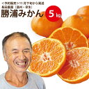 【ふるさと納税】長田農園 早生みかん 秀品 S-Lサイズ 5kg