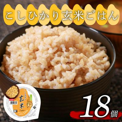 ふるさと納税 松原市 米匠庵 コシヒカリ 玄米ご飯 160g×18個 国産原料100% ご飯パック 常温保存 大阪府松原市