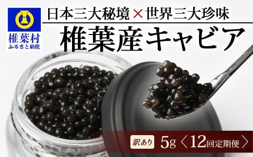 
            【12回定期便】【訳あり】 国産 キャビア HEIKE CAVIAR  5g × 12回 計60g 【世界三大珍味×日本三大秘境】［ 訳あり 宮崎 椎葉 国産 チョウザメ キャビア 定期便 定期 5g 60g 12回定期 魚卵 卵 酒 魚介 珍味 加工品 冷凍 高級 高級食材 贅沢 世界三大珍味 グルメ ギフト プレゼント 贈答 希少 人気 おすすめ 送料無料 ］SZ-115_12teiki
          