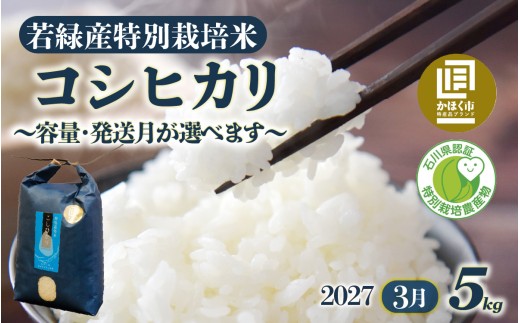 【令和8年産 新米】若緑産 特別栽培米「こしひかり」5kg【2027年3月発送】