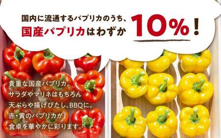 【夏~秋 お届け】訳あり 『 飛騨パプリカ 』 赤・黄 約6～10個 | 有機肥料 国産パプリカ 山腰農園 GD003