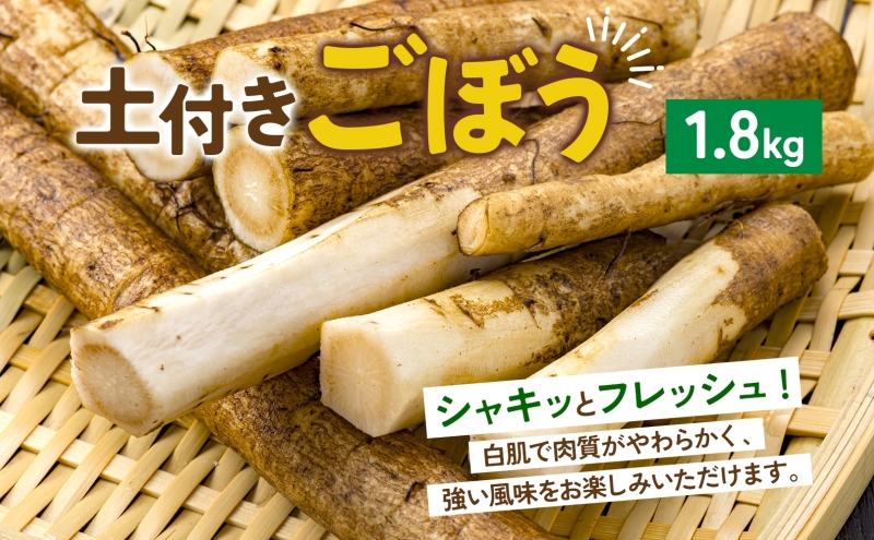 数量限定 根菜3種セット 計8.6kg 土付き 長芋 5kg 土付き ごぼう 1.5kg じゃがいも 1.8kg 11月下旬～12月下旬までのお届け 野菜 詰め合わせ 根菜 常温 青野農園 北海道 洞