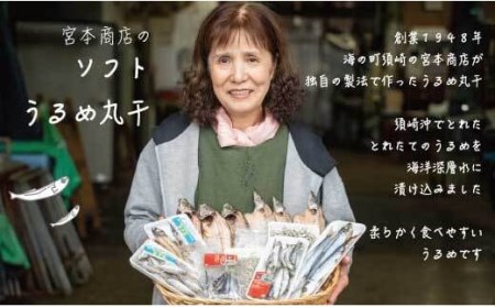 干物 うるめ いわし 上干 500g 特上品 須崎市 高知県