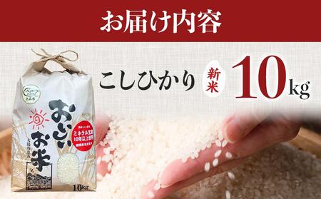 【先行予約】【令和7年産 新米】こしひかり 10kg（農薬・化学肥料不使用）【米 こめ お米 白米 精米 ブランド米 ご飯 人気 徳島 】