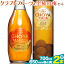 【ふるさと納税】THE CHOYA CRAFT FRUIT 700ml 至極の梅 650ml 計2本 セット 飲み比べ 羽曳野商工振興株式会社《30日以内に出荷予定(土日祝除く)》大阪府 羽曳野市 送料無料 梅酒 梅 酒 CHOYA チョーヤ チョーヤ梅酒 お酒 クラフトフルーツ クラフト 至極の梅