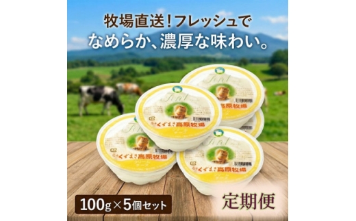 ＜毎月定期便＞くずまき高原牧場 クリームチーズ＜プレーン＞100g×5個セット全2回【4078668】
