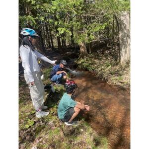 マウンテンバイク半日ガイドツアー　Tシャツ＆レンタルバイク込　1名様【1628006】