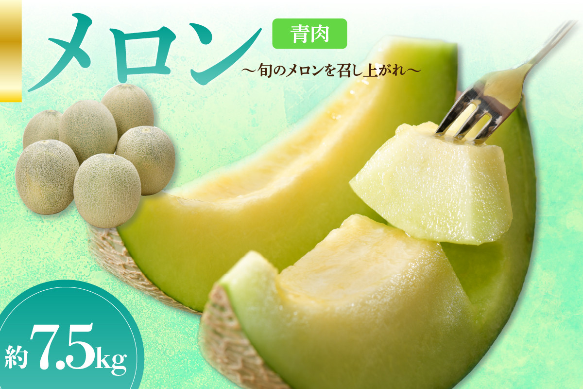 
            【2025年先行予約】【秀～優品】メロン 約7.5kg 程度( 青肉 ) 津軽平野のメロン 【選べる配送時期】7月 8月 青森
          