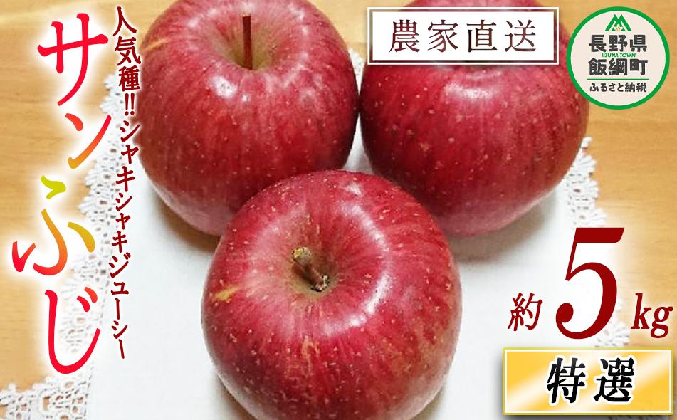 りんご サンふじ 特選 5kg やまじゅうファーム 沖縄県への配送不可 2025年12月上旬頃から2025年12月中旬頃まで順次発送予定 令和7年度収穫分 信州の環境にやさしい農産物 減農薬栽培 長野県 飯綱町 [0534]