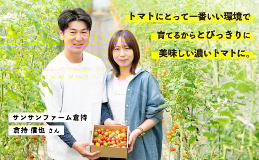 【先行受付】ミニトマト 食べ比べセット 1kg 12月発送 ミニトマト選手権「金賞」農家がつくる【 10種以上 国産 旬 フルーツトマト 高糖度 カラフル 10000円以下 】