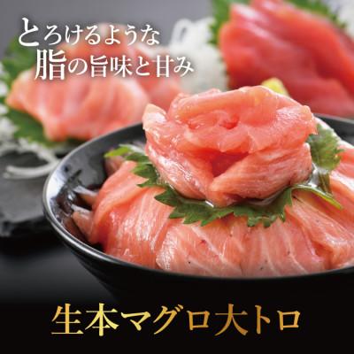 ふるさと納税 越前町 「生まぐろ」大トロ　300g(2〜3柵) |  | 01