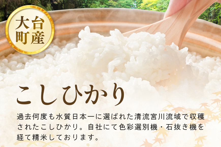 【定期便3回】こしひかり 精米 5kg (計15kg) 真空パック A17-014