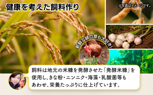 【定期便】たまご 佐賀鹿島産 平飼い初卵「うみとやまとこっこ」 上田養鶏場 たまご60個×3回 タマゴ 玉子D-117