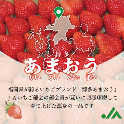 福岡県産冷凍あまおう1.6kg(800g×2袋)(岡垣町)【配送不可地域：離島】